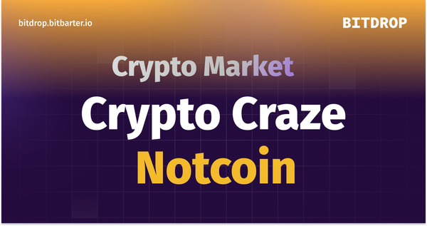 Crypto Craze: Notcoin - Is it the Next Big Thing in Cryptocurrency?